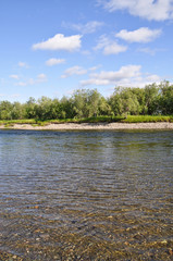 Wild river landscape in the polar Urals.
