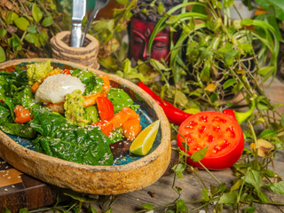 Tasty salad with egg, tomato, guacamole sauce, with crackers, lime and herbs on a craft plate