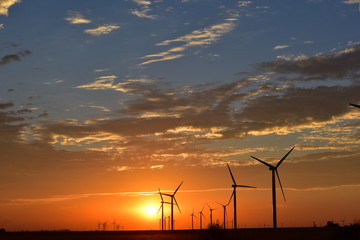 Obraz premium wind turbines at sunset