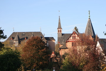 Puricelli Stift in Rheinböllen