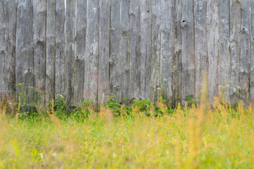 wood old fence