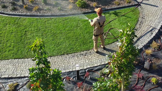 Building Residential Garden. Professional Gardener with Garden Hose Watering Grass Lawn. Aerial Footage.