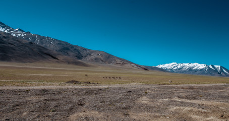 My moto trip to Ladakh  India Himalayas 2019