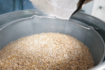 Ground barley in container, grinding barley.