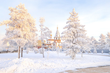 Fototapeta na wymiar Winter landscape of frosty trees, white snow in city park. Trees covered with snow in Siberia, Irkutsk near lake Baikal. Extremely cold winter