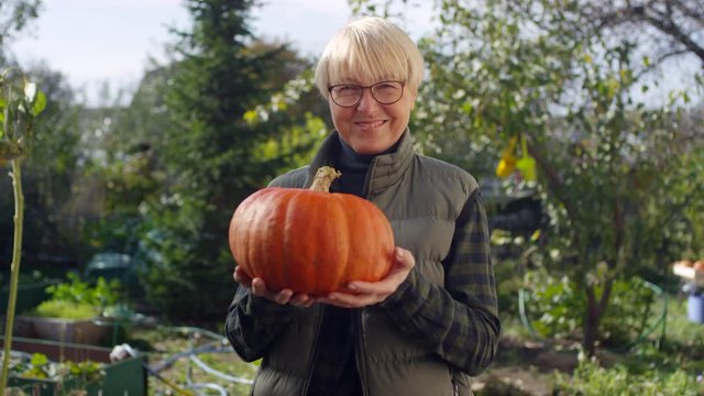 Waist-up arc shot of blonde middle-aged Caucasian lady in glasses, padded vest and plaid shirt standing in vegetable garden of village home, proudly showing off large organic pumpkin and smiling