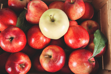 apples on the wooden box