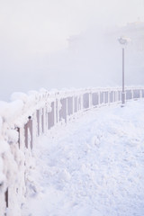 Obraz premium Winter landscape of frosty trees, white snow in city park. Trees covered with snow in Siberia, Irkutsk near lake Baikal. Extremely cold winter