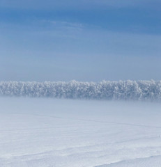 Winter snowfall. Christmas background.