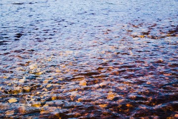 чистая вода реки Сухоны