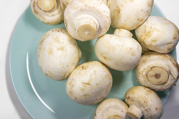 Fresh champignon mushrooms, isolated on white background in blue plate