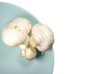 Fresh mushrooms on white background with copy space. Three champignon on plate