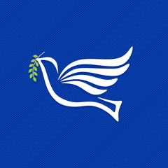 Naklejka premium Dove, a symbol of peace and purity. The biblical symbol of the Holy Spirit.
