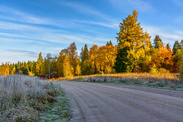 Naklejka premium Sunny morning in Karelia.