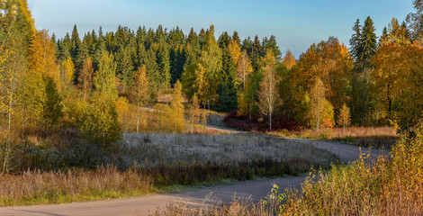 Sunny morning in Karelia.