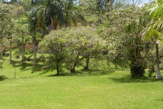 imagem panoramica de jardim de casa com gramados