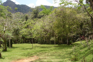 imagem panoramica de jardim de casa com gramados