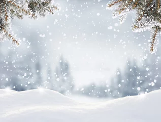 Foto op Aluminium Sneeuwval in winter forest. Beautiful landschap met besneeuwde sparren en sneeuwlaag. Prettige kerstdagen en gelukkig Nieuwjaar begroeting achtergrond met kopie-ruimte. Winter sprookje. © Lilya