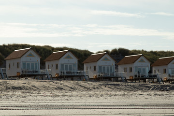 tini häuser am strand von domburg, nordsee, slapen op strand - obrazy, fototapety, plakaty