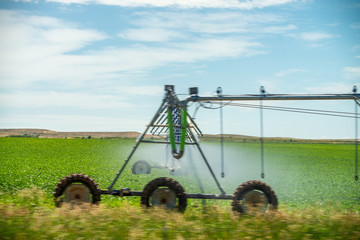 Center Pivot Irrigation System in Cornfield. Industrial machine with wheels and sprayers