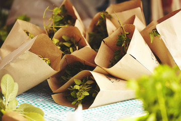 Fresh oregano packaged in small paper bags