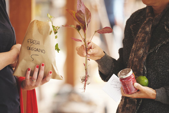 Midsection of women holding fresh oregano, seedling, and preserves