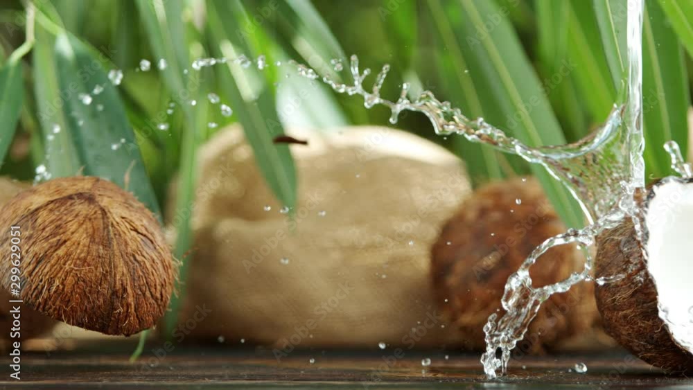 Wall mural super slow motion of falling halved coconut with splash, speed ramping effect. filmed on high speed 