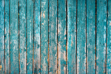 Fototapeta na wymiar old wooden fence light green paint peeling board texture. Background
