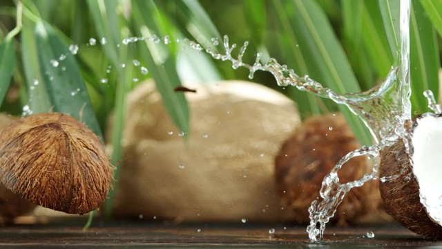 Super slow motion of falling halved coconut with splash, speed ramping effect. Filmed on high speed cinema camera, 1000 fps.