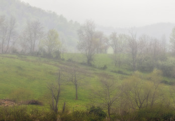 Obraz na płótnie Canvas Foggy Shenandoah Valley