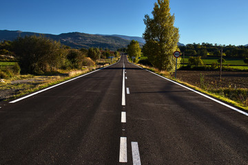 Road with trees towards the mountains