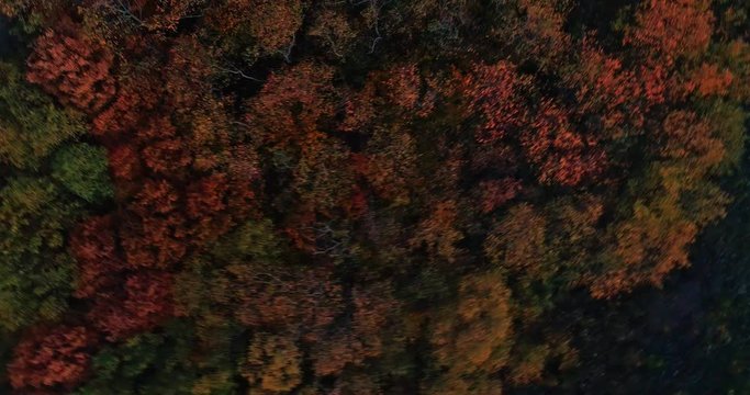 Autumn forest drone aerial shot at sunset. Overhead view of foliage trees in Hungary, Matra, Muzsla. Inspiring autumn season landscape panorama.