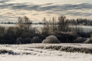 landscape in a forest in the early winter snow falls