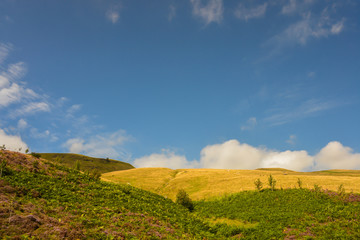 Idyllic landscape in Scotland, United Kingdom