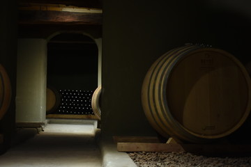 BODEGA