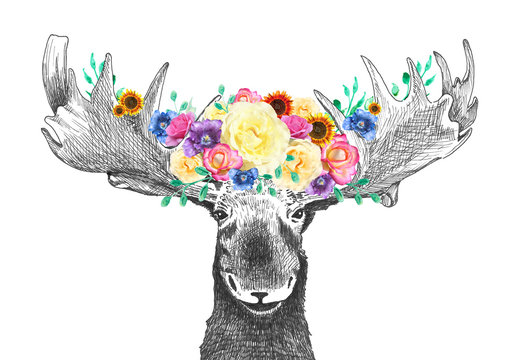 Moose with flowers in antlers, cute fun happy moose is hand drawn illustration or sketch with flower images in bright floral spring colors, bouquet or flower arrangement on animals head