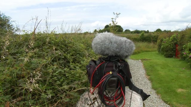 Ab audio bag with a recorder and microphone covered by a dead cat sitting on a rock collecting ambient sound in a field