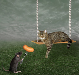 The beige cat is on the swing in the meadow. The black rat is feeding it with sausage.