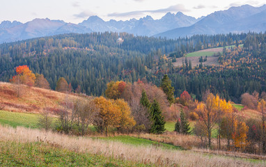 Beautiful,scenic,autumn landscape with view of the Tatra mountains,Poland.