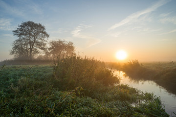 Fototapeta na wymiar Wschód słońca, nizinna rzeka i łąka