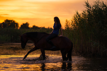 A slender girl on a horse is at sunset. A horse is standing in a lake. Care and walk with the horse. Strength and Beauty