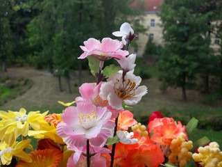 Plasitc Flowers