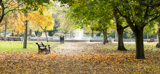 Autumn park background scene