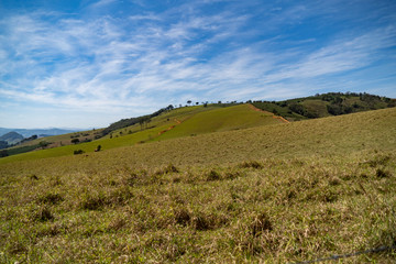 landscape with green field and blue sky