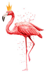 cute pink flamingo bird wearing a crown on an isolated white background, watercolor illustration, painting