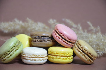 Colourful tasty macaroons in a row. macaroons of different colors on a brown background