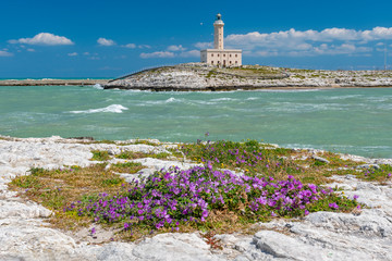 Vieste Lighthouse also Isola Santa Eufemia, active lighthouse on the islet of Santa Eufemia,...
