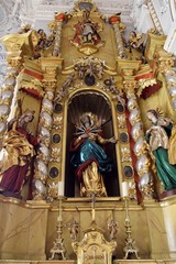 Fototapeta na wymiar Die Pfarrkirche Sogn Gions in Disentis.