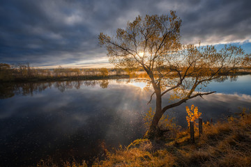 Last leaves on Dubna  River