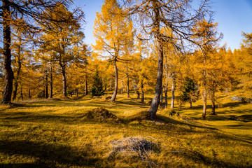 Herbst 2019